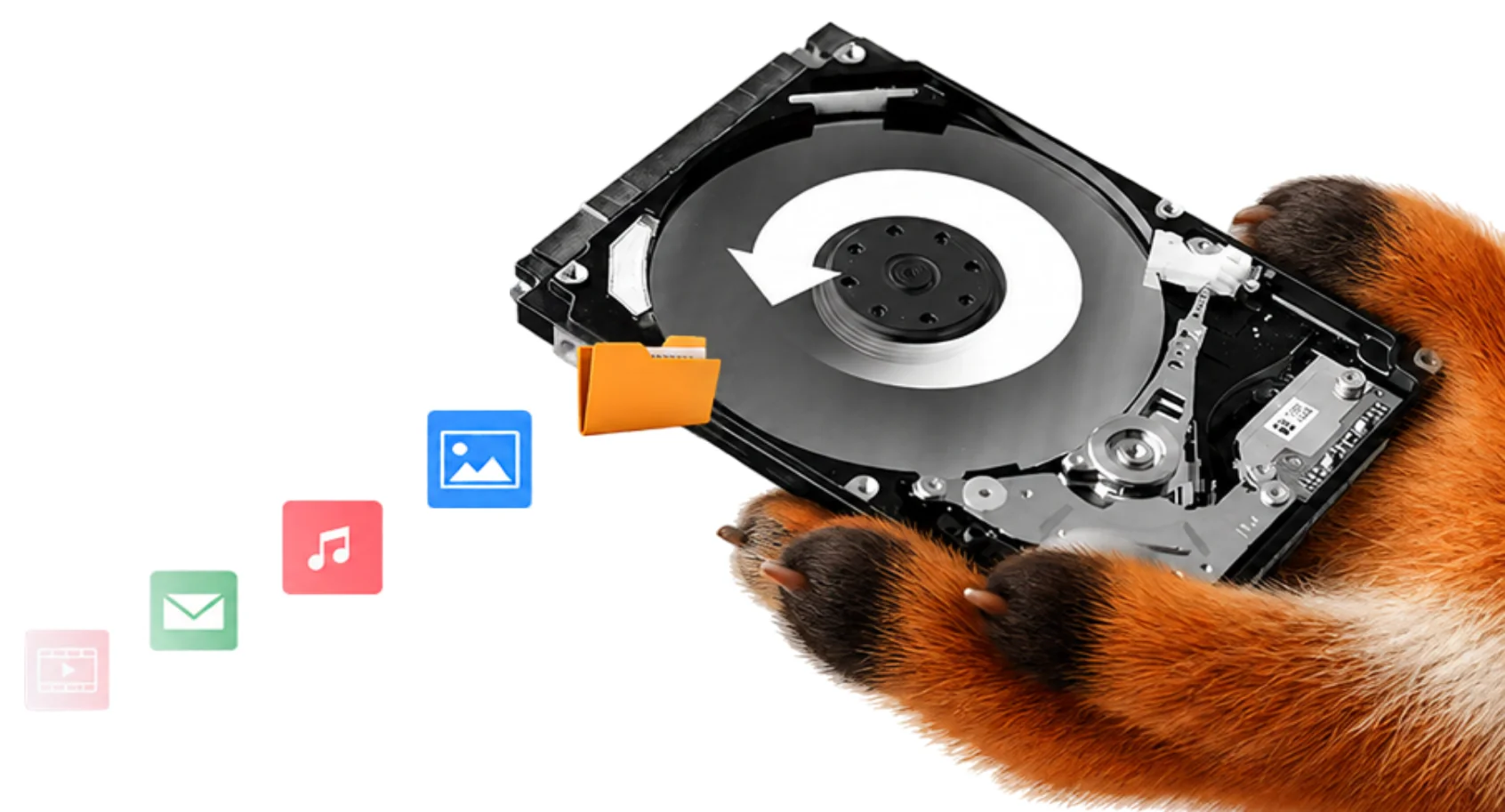 Le renard Proxiclic tient un disque dur et récupère photos, musique, e-mails et vidéos
